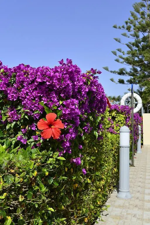 Aparthotel Napa Prince Hotel Apts Ayia Napa